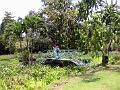 28 - Jardin des eaux 026